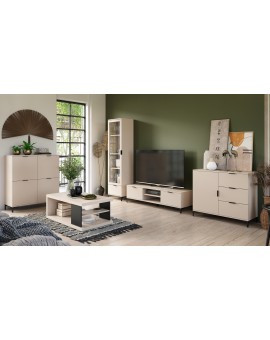 TV skrinka LANA 05 béžový - POD TV DO OBÝVAČKY SO ZÁSUVKAMI