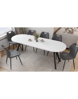 ALMO Biely mat / čierne nohy - OVÁLNY ROZKLADACÍ STÔL 120-220 cm PRE 10-12 OSÔB