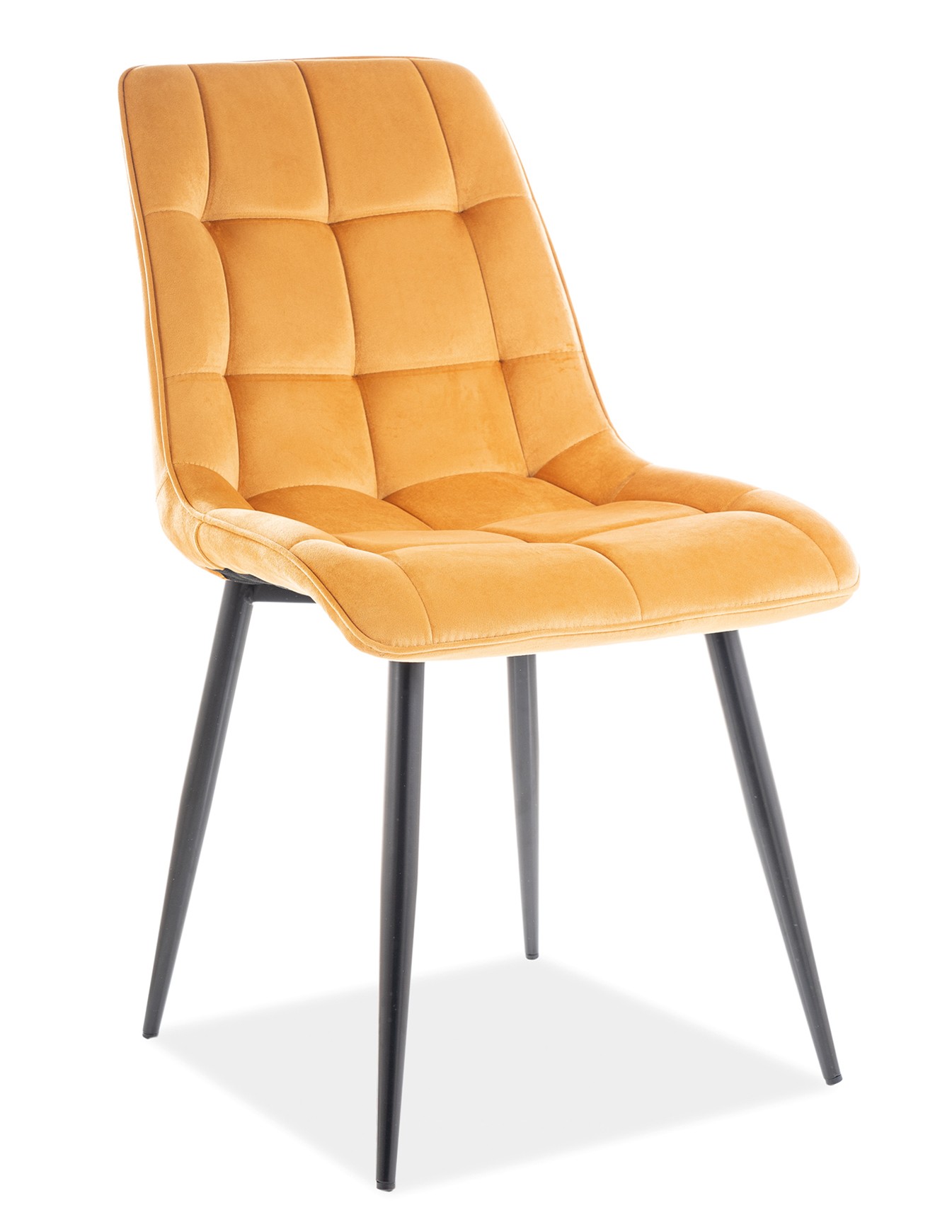 Stolička CHIC curry, žltá / horčicová (látka Bluvel 68) - moderná, čalúnená, zamatová, do obývačky, jedálne